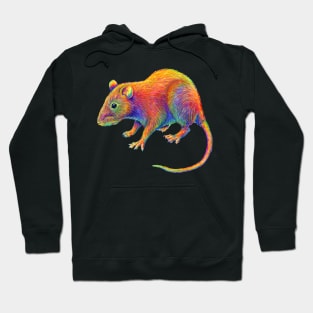 Psychedelic Rainbow Rat Hoodie